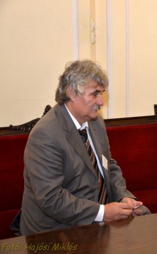 Szabó István, Pest Megye Közgyűlésének alelnöke